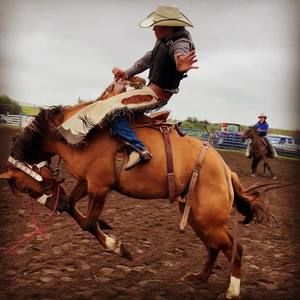 Meet your Posher, Gabriel